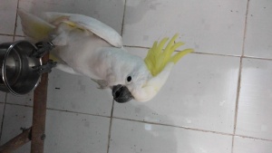 İlan Resmi 3