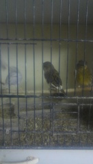 İlan Resmi 3