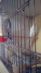 İlan Resmi 2