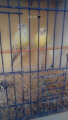 İlan Resmi 2